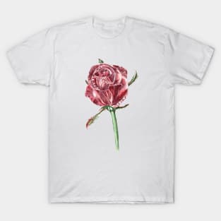 Burgundy rose T-Shirt